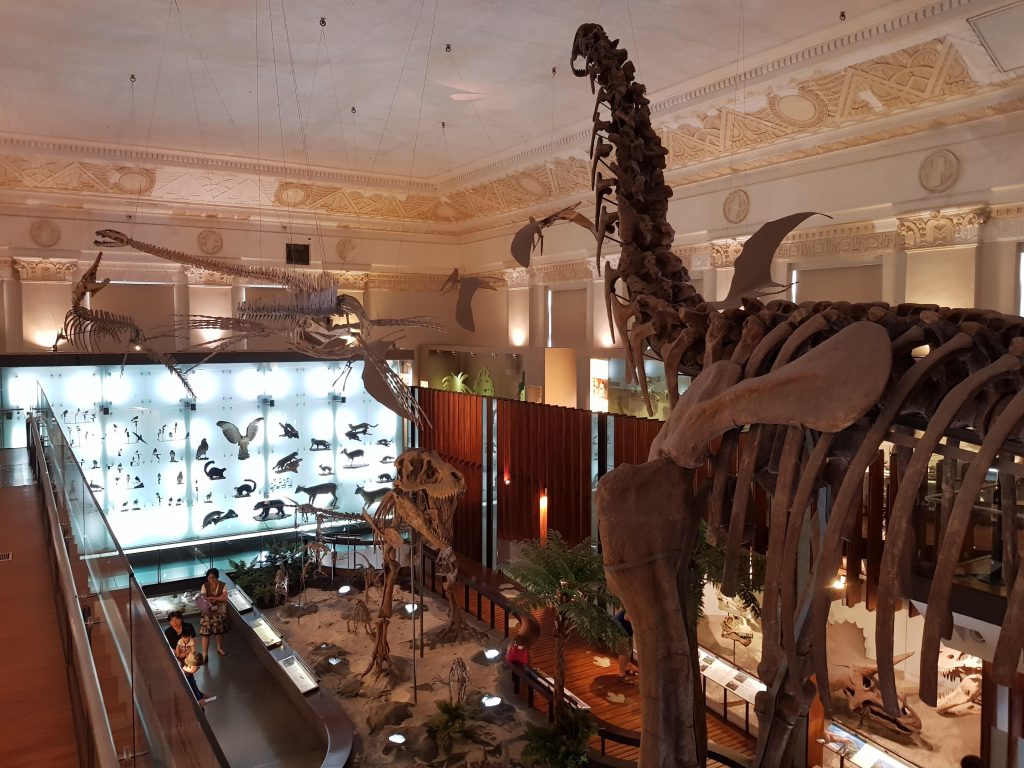 https://mdw-travel-data-us-east-1.s3.amazonaws.com/img/country/Taiwan/National-Radio-Museum/img_02.jpg