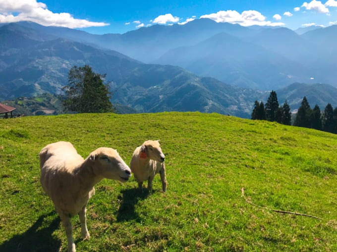 https://mdw-travel-data-us-east-1.s3.amazonaws.com/img/country/Taiwan/Qingjing-Farm/img_01.jpg