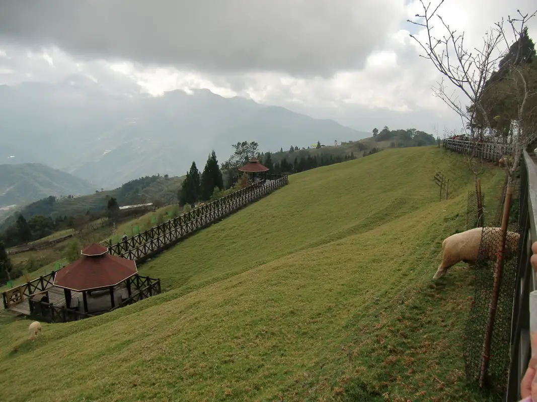 https://mdw-travel-data-us-east-1.s3.amazonaws.com/img/country/Taiwan/Qingjing-Farm/img_03.jpg