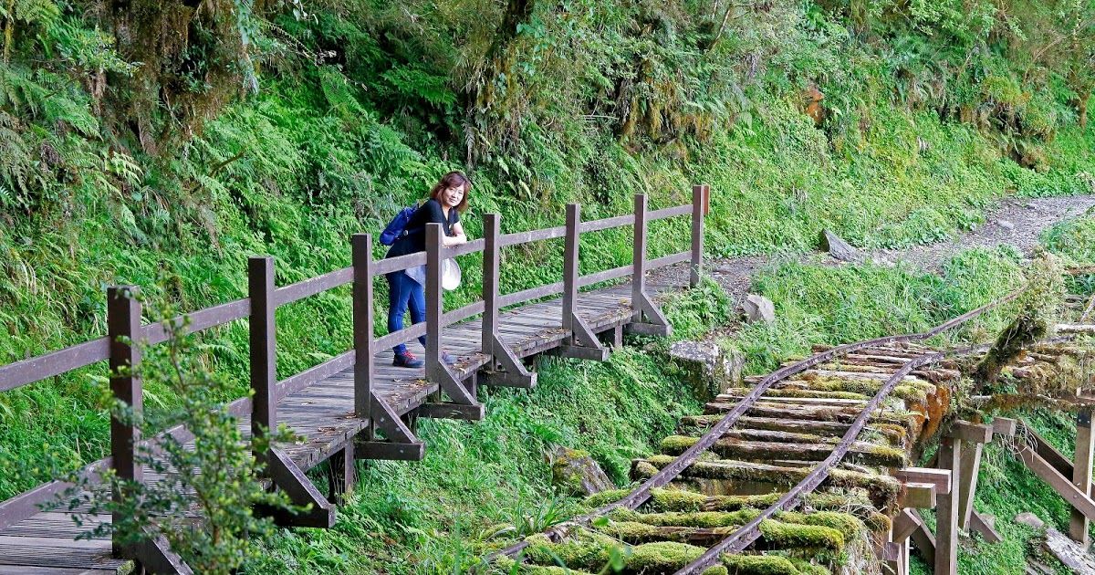 https://mdw-travel-data-us-east-1.s3.amazonaws.com/img/country/Taiwan/Siangyang-Forest-Recreation-Area/img_01.jpg