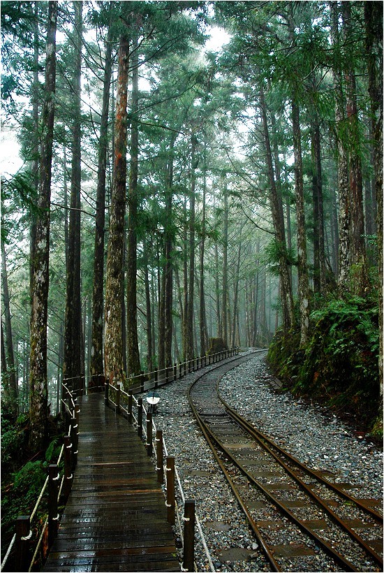 https://mdw-travel-data-us-east-1.s3.amazonaws.com/img/country/Taiwan/Siangyang-Forest-Recreation-Area/img_02.jpg