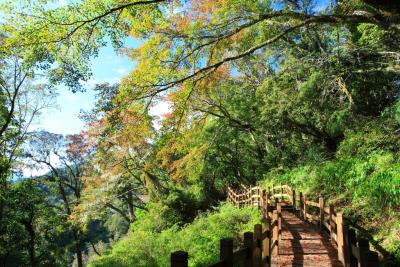 https://mdw-travel-data-us-east-1.s3.amazonaws.com/img/country/Taiwan/Siangyang-Forest-Recreation-Area/img_03.jpg