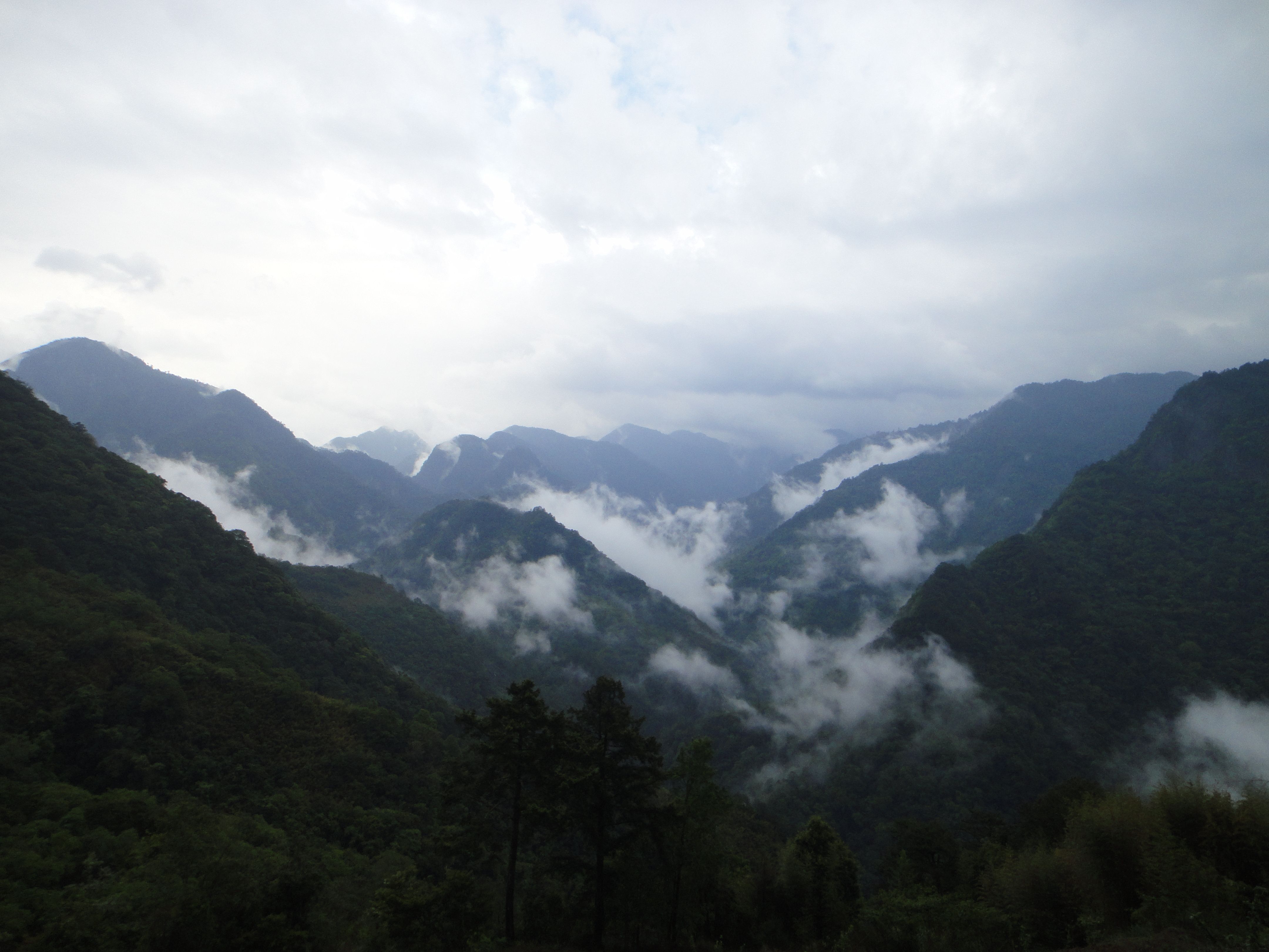 https://mdw-travel-data-us-east-1.s3.amazonaws.com/img/country/Taiwan/Smangus/img_01.jpg