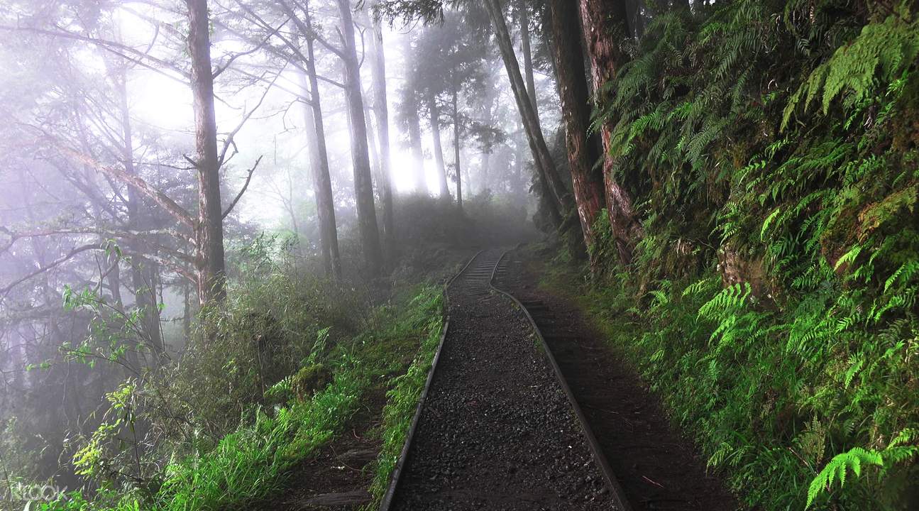 https://mdw-travel-data-us-east-1.s3.amazonaws.com/img/country/Taiwan/Taiping-Mountain/img_03.jpg