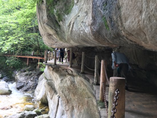 https://mdw-travel-data-us-east-1.s3.amazonaws.com/img/country/Taiwan/Taiping-National-Forest-Recreation-Area/img_00.jpg