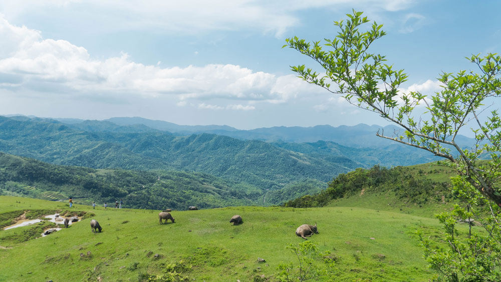 https://mdw-travel-data-us-east-1.s3.amazonaws.com/img/country/Taiwan/Taoyuan-Valley/img_01.jpg