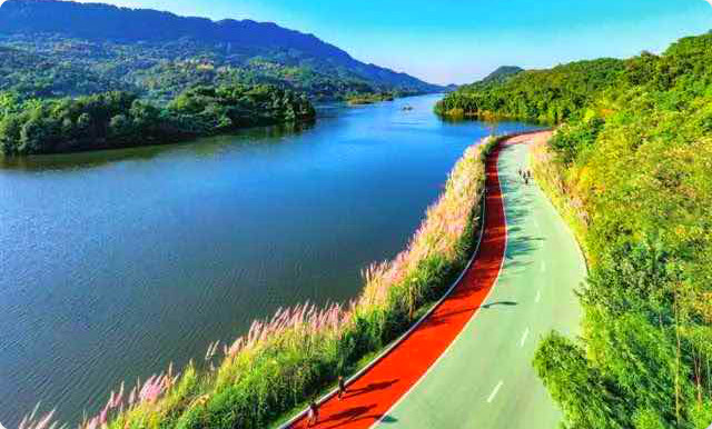 https://mdw-travel-data-us-east-1.s3.amazonaws.com/img/country/Taiwan/Tongliang-Great-Banyan/img_00.jpg