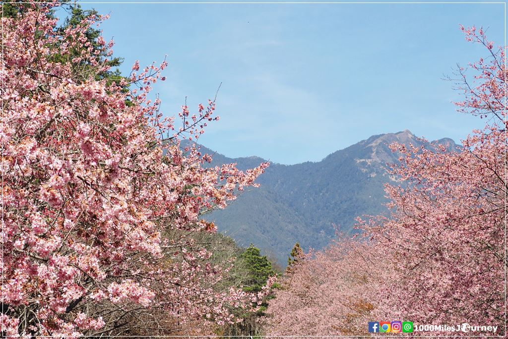 https://mdw-travel-data-us-east-1.s3.amazonaws.com/img/country/Taiwan/Wuling-Farm/img_02.jpg