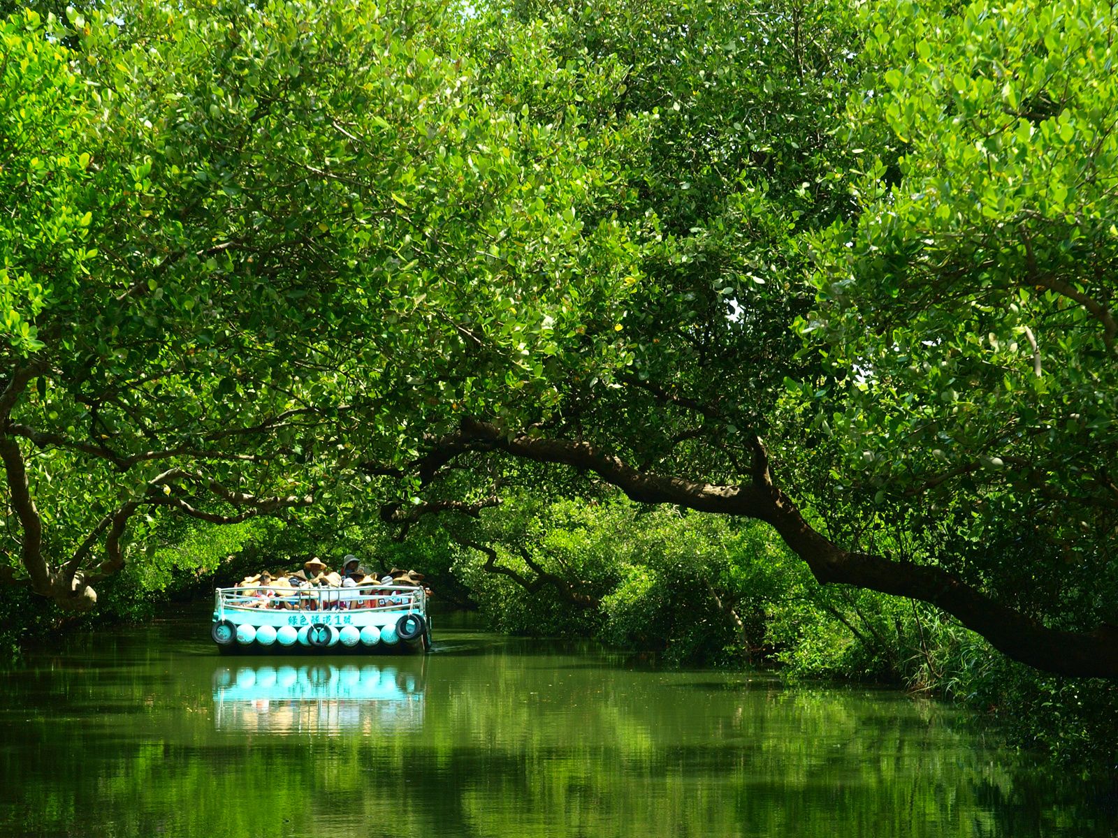 https://mdw-travel-data-us-east-1.s3.amazonaws.com/img/country/Taiwan/Xinfeng-Mangrove-Forest/img_02.jpg