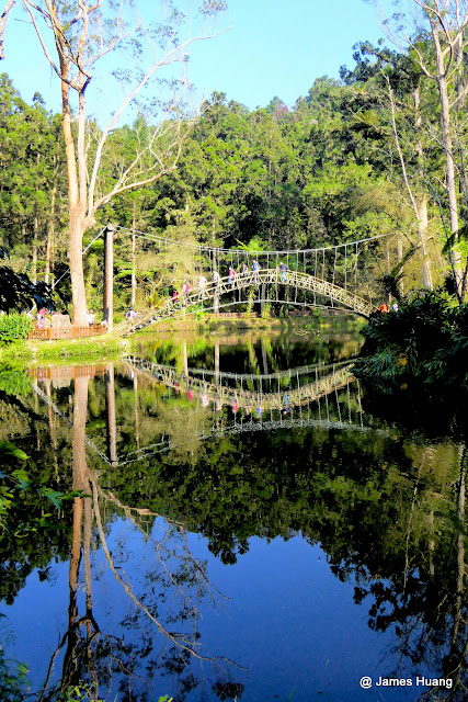 https://mdw-travel-data-us-east-1.s3.amazonaws.com/img/country/Taiwan/Xitou-Nature-Education-Area/img_03.jpg