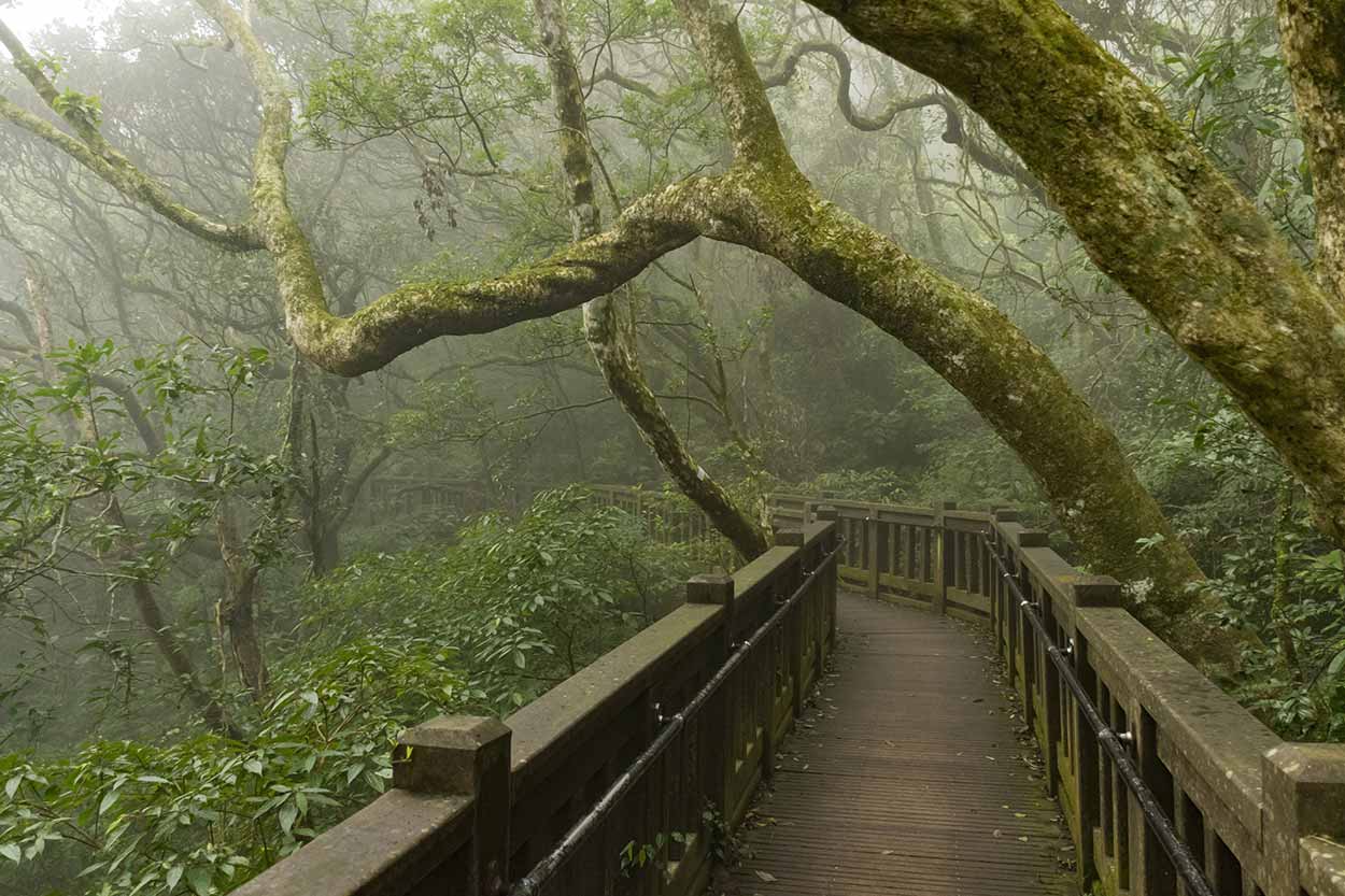 https://mdw-travel-data-us-east-1.s3.amazonaws.com/img/country/Taiwan/Yangmingshan-National-Park/img_01.jpg