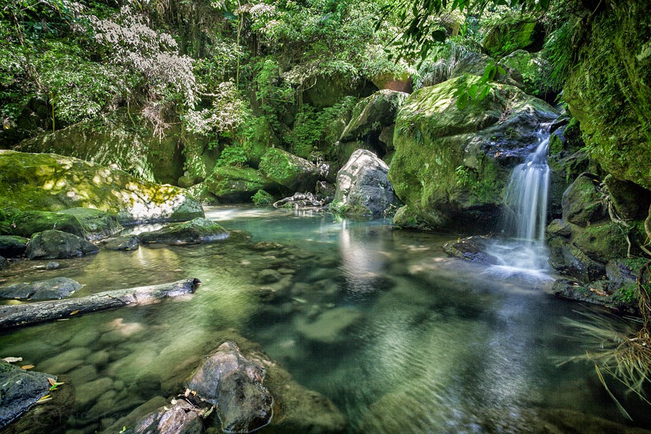 https://mdw-travel-data-us-east-1.s3.amazonaws.com/img/country/Taiwan/Yangmingshan-National-Park/img_03.jpg