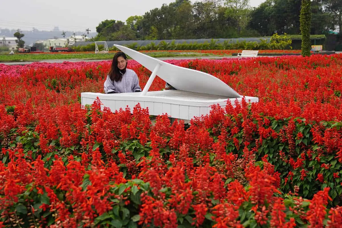 https://mdw-travel-data-us-east-1.s3.amazonaws.com/img/country/Taiwan/Zhongshe-Flower-Market/img_02.jpg