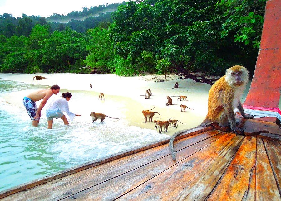 https://mdw-travel-data-us-east-1.s3.amazonaws.com/img/country/Thailand/Ao-Ling-Monkey-Bay/img_00.jpg