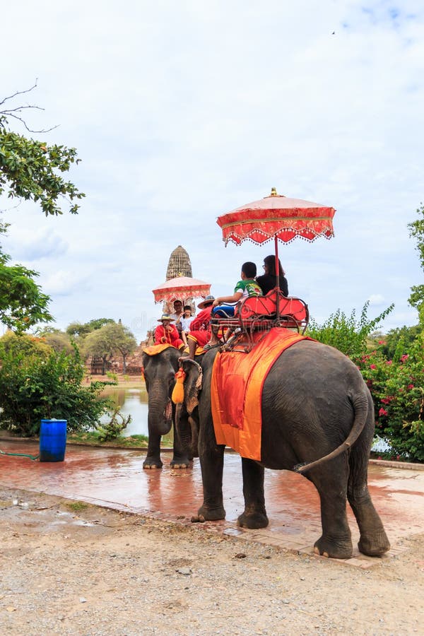 https://mdw-travel-data-us-east-1.s3.amazonaws.com/img/country/Thailand/Ayutthaya-Elephant-Camp/img_01.jpg