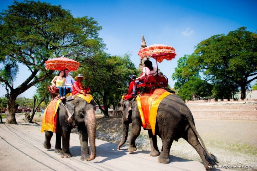 https://mdw-travel-data-us-east-1.s3.amazonaws.com/img/country/Thailand/Ayutthaya-Elephant-Village/img_01.jpg