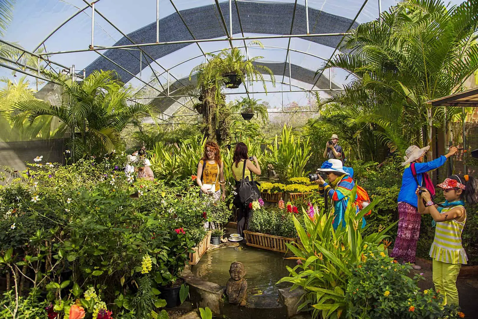 https://mdw-travel-data-us-east-1.s3.amazonaws.com/img/country/Thailand/Bai-Orchid-and-Butterfly-Farm/img_00.jpg