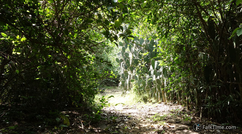 https://mdw-travel-data-us-east-1.s3.amazonaws.com/img/country/Thailand/Cha-am-Forest-Park/img_01.jpg