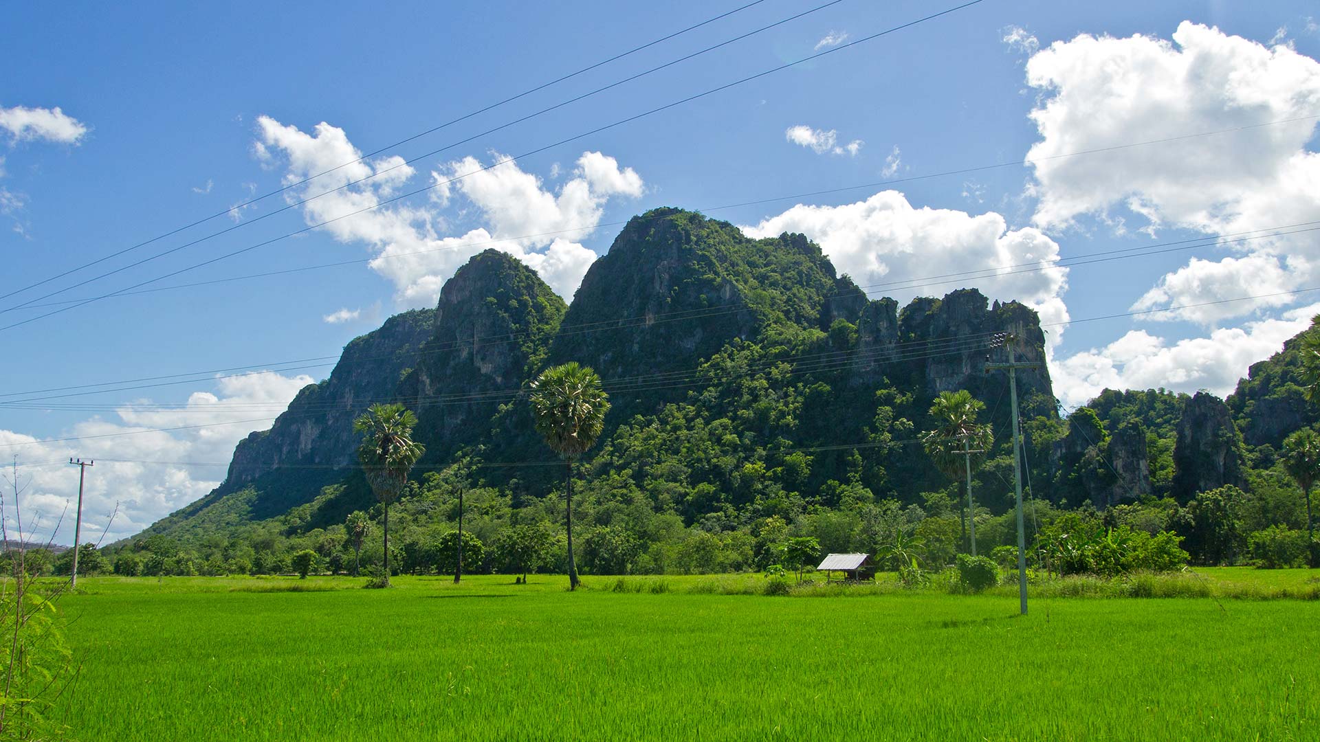 https://mdw-travel-data-us-east-1.s3.amazonaws.com/img/country/Thailand/Cha-am-Forest-Park/img_03.jpg