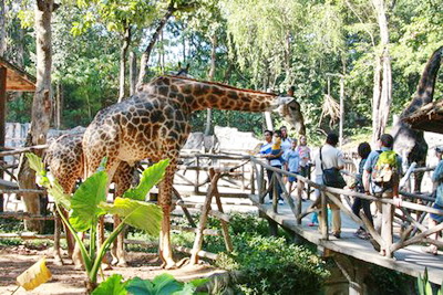 https://mdw-travel-data-us-east-1.s3.amazonaws.com/img/country/Thailand/Chiang-Mai-Zoo/img_03.jpg