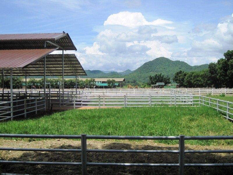 https://mdw-travel-data-us-east-1.s3.amazonaws.com/img/country/Thailand/Chokchai-Farm/img_00.jpg