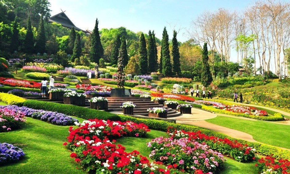 https://mdw-travel-data-us-east-1.s3.amazonaws.com/img/country/Thailand/Doi-Tung/img_02.jpg