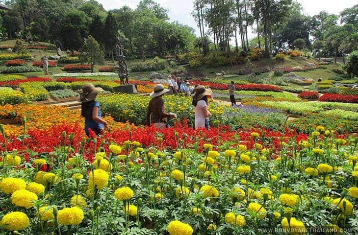 https://mdw-travel-data-us-east-1.s3.amazonaws.com/img/country/Thailand/Doi-Tung/img_03.jpg