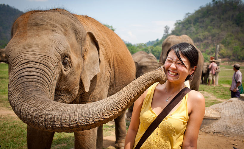 https://mdw-travel-data-us-east-1.s3.amazonaws.com/img/country/Thailand/Elephant-Nature-Park/img_01.jpg