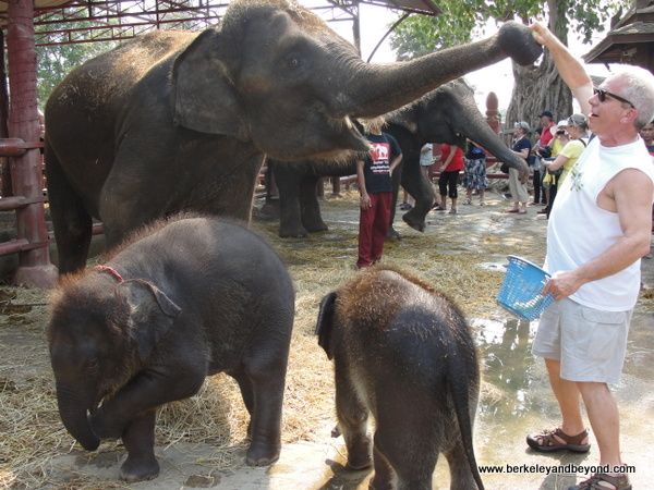 https://mdw-travel-data-us-east-1.s3.amazonaws.com/img/country/Thailand/Elephantstay/img_02.jpg