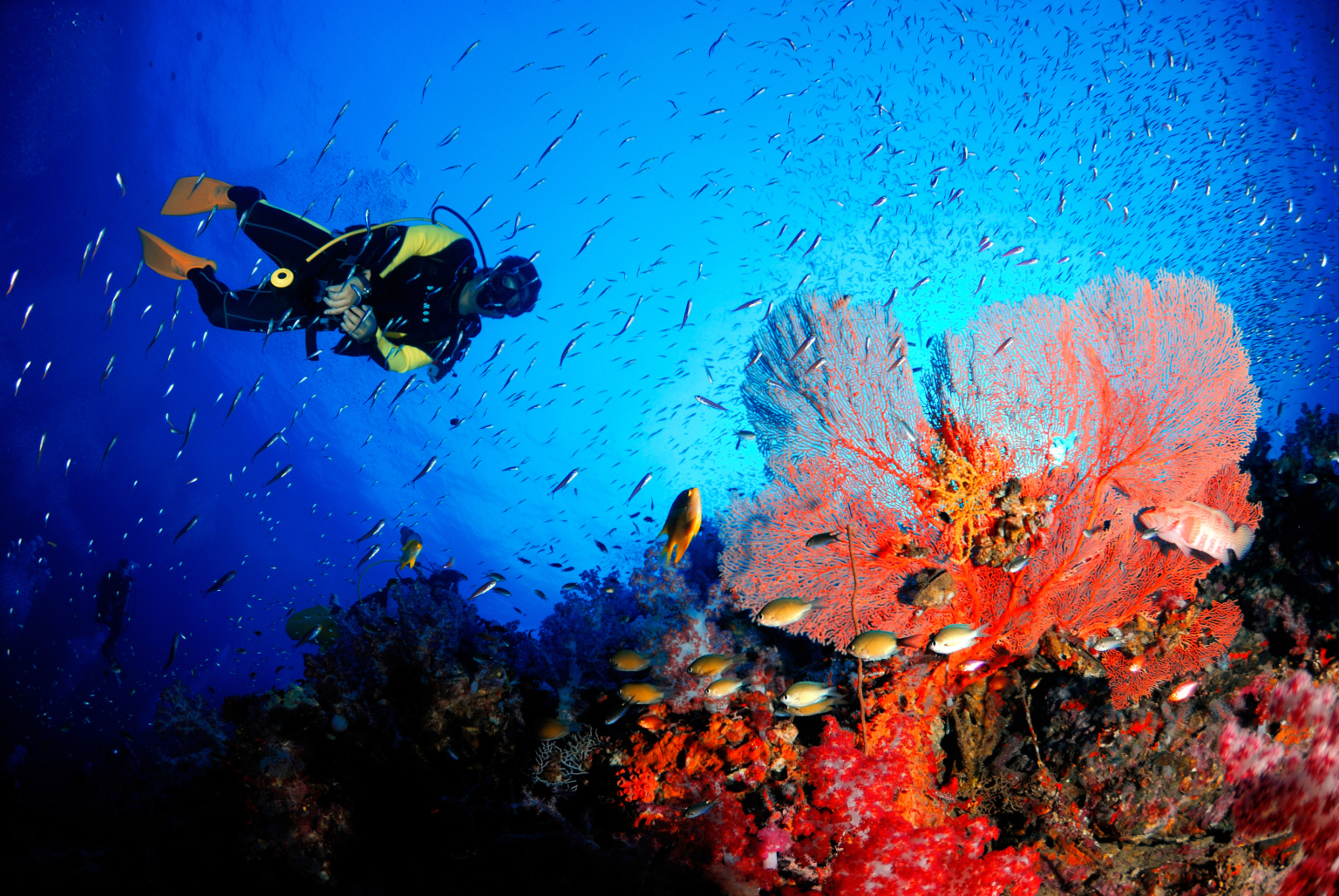 https://mdw-travel-data-us-east-1.s3.amazonaws.com/img/country/Thailand/Green-Rock-Dive-Site/img_02.jpg