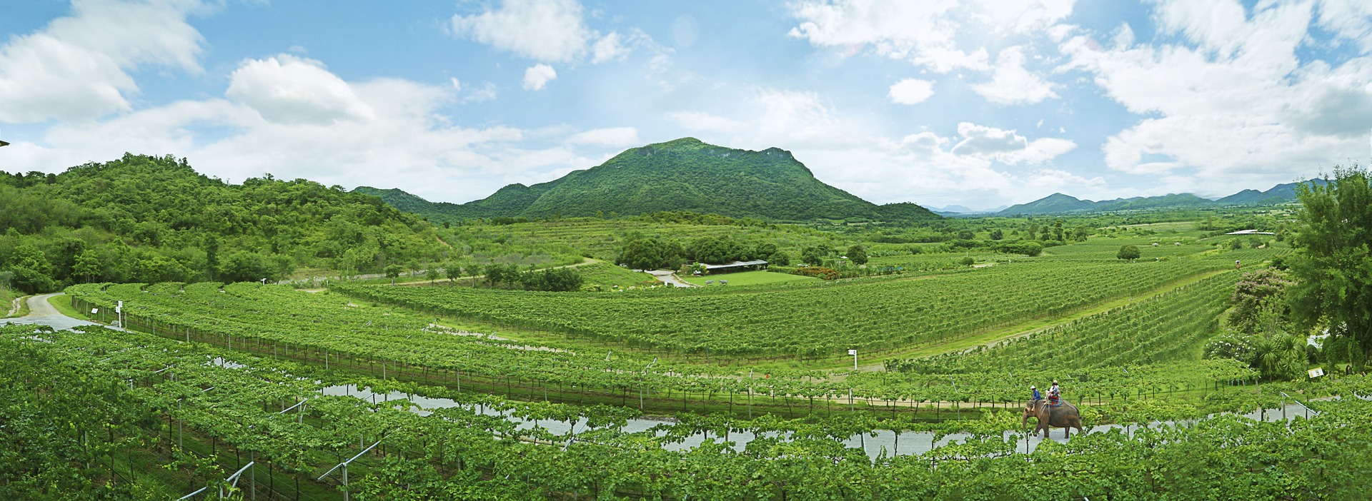 https://mdw-travel-data-us-east-1.s3.amazonaws.com/img/country/Thailand/Hua-Hin-Hills-Vineyard/img_02.jpg
