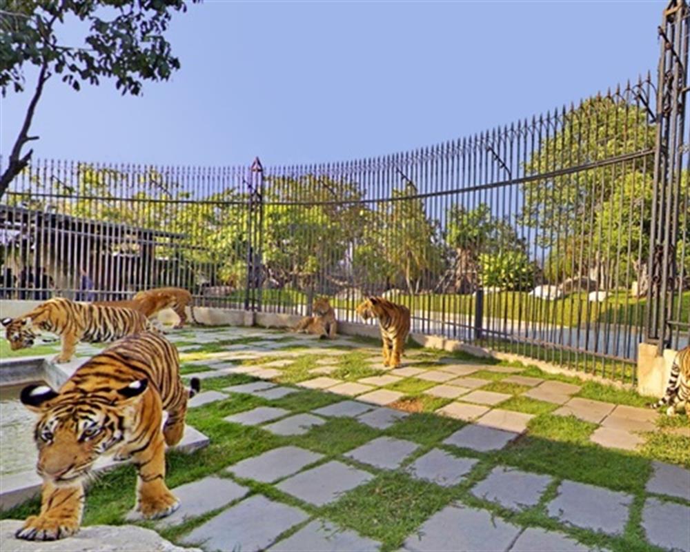 https://mdw-travel-data-us-east-1.s3.amazonaws.com/img/country/Thailand/Hua-Hin-Safari-&-Adventure-Park/img_02.jpg