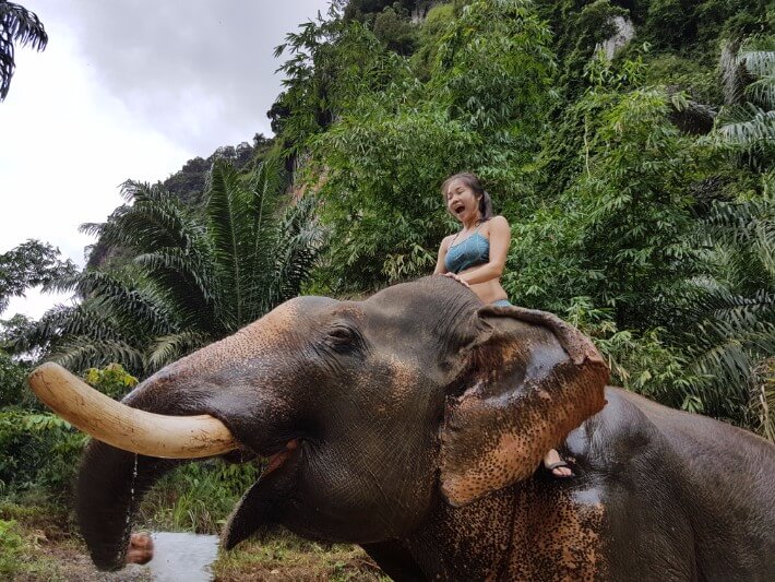 https://mdw-travel-data-us-east-1.s3.amazonaws.com/img/country/Thailand/Khao-Sok-Elephant-Sanctuary/img_01.jpg