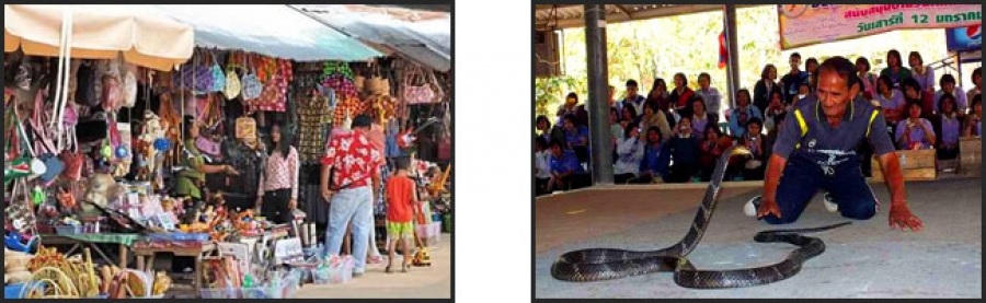 https://mdw-travel-data-us-east-1.s3.amazonaws.com/img/country/Thailand/King-Cobra-Village/img_02.jpg