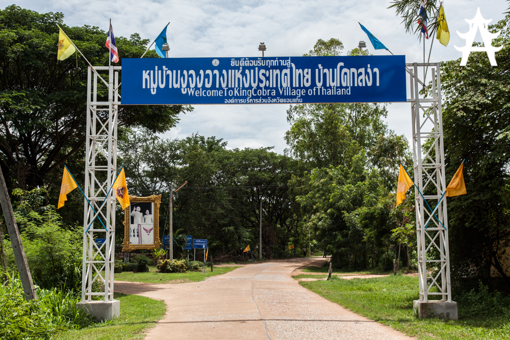 https://mdw-travel-data-us-east-1.s3.amazonaws.com/img/country/Thailand/King-Cobra-Village/img_03.jpg
