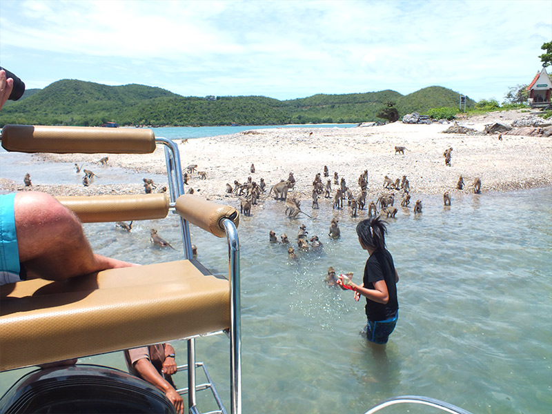https://mdw-travel-data-us-east-1.s3.amazonaws.com/img/country/Thailand/Ko-Man-Wichai/img_01.jpg