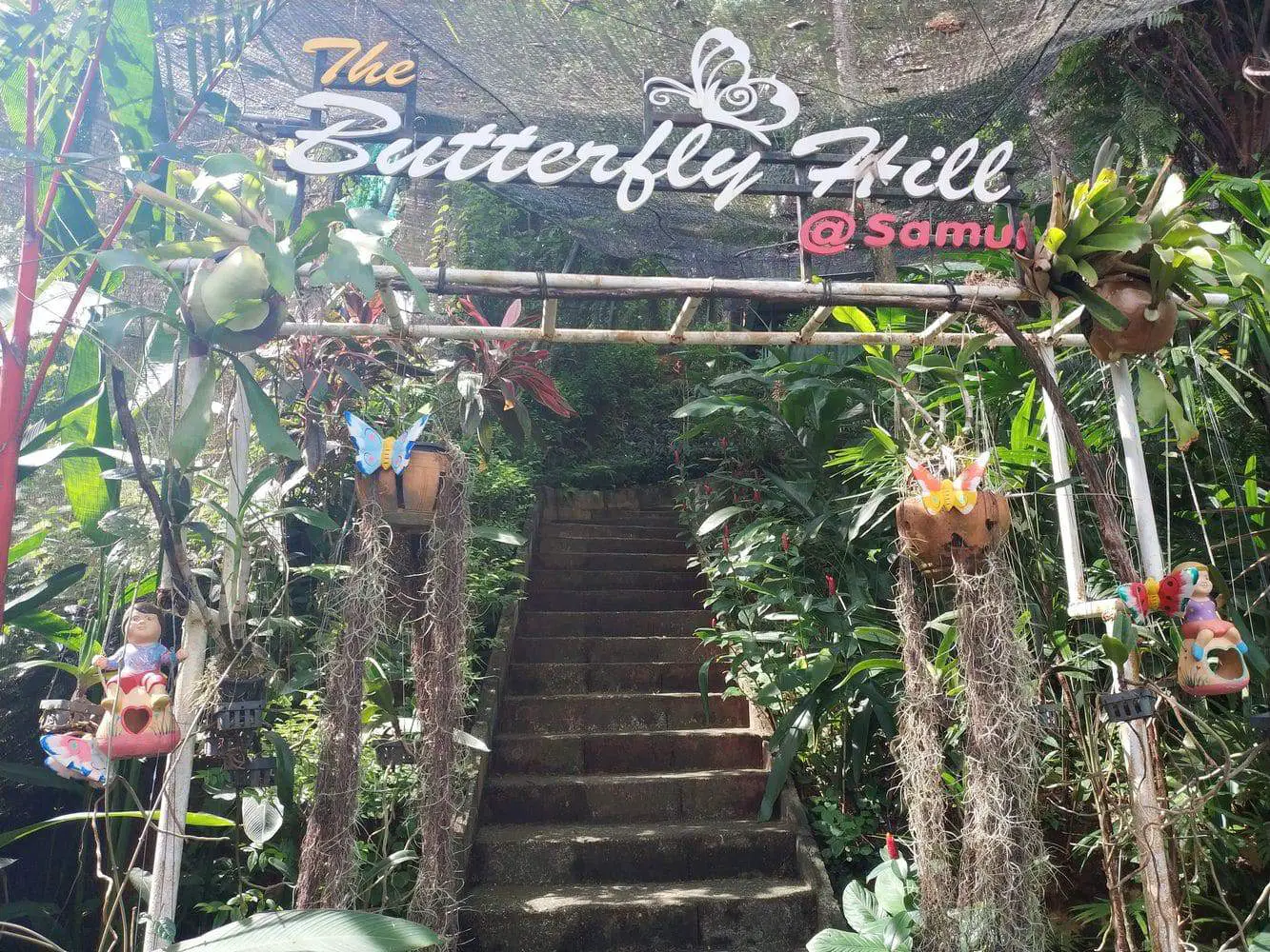 https://mdw-travel-data-us-east-1.s3.amazonaws.com/img/country/Thailand/Koh-Samui-Butterfly-Garden/img_03.jpg