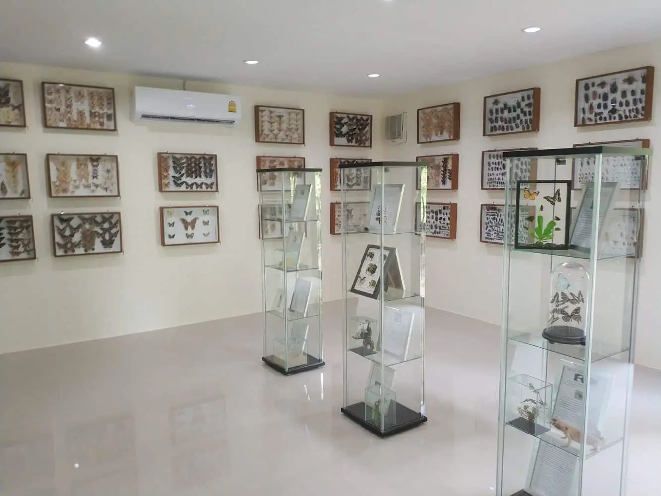 https://mdw-travel-data-us-east-1.s3.amazonaws.com/img/country/Thailand/Koh-Samui-Butterfly-Garden/img_04.jpg