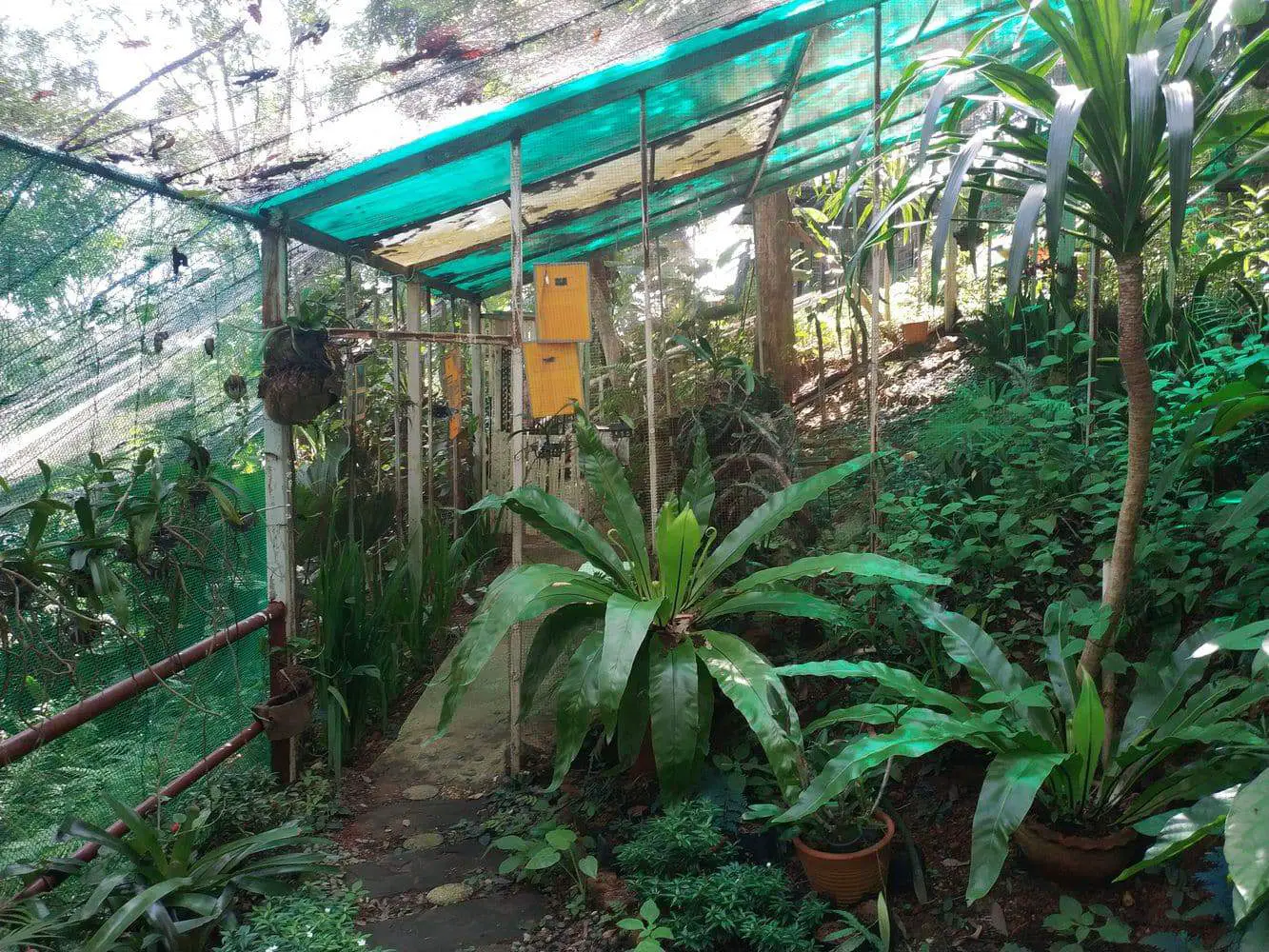 https://mdw-travel-data-us-east-1.s3.amazonaws.com/img/country/Thailand/Koh-Samui-Butterfly-Garden/img_05.jpg
