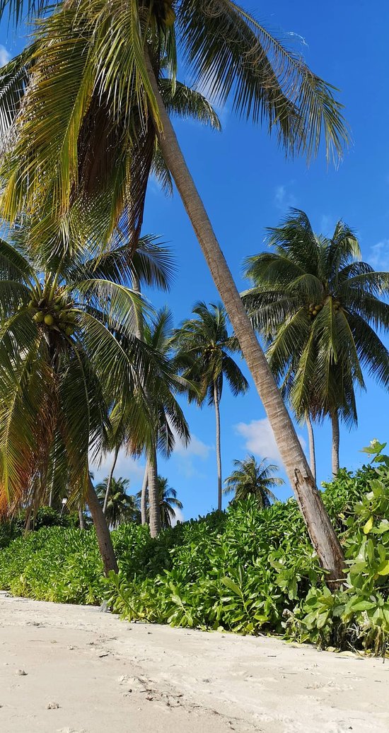https://mdw-travel-data-us-east-1.s3.amazonaws.com/img/country/Thailand/Lipa-Noi-Beach/img_03.jpg