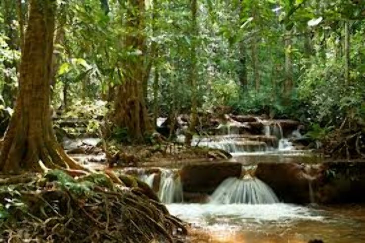 https://mdw-travel-data-us-east-1.s3.amazonaws.com/img/country/Thailand/Namtok-Chat-Trakan-National-Park/img_02.jpg