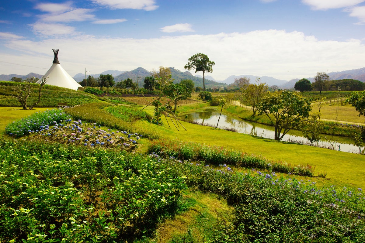 https://mdw-travel-data-us-east-1.s3.amazonaws.com/img/country/Thailand/PB-Valley-Khao-Yai-Winery/img_00.jpg