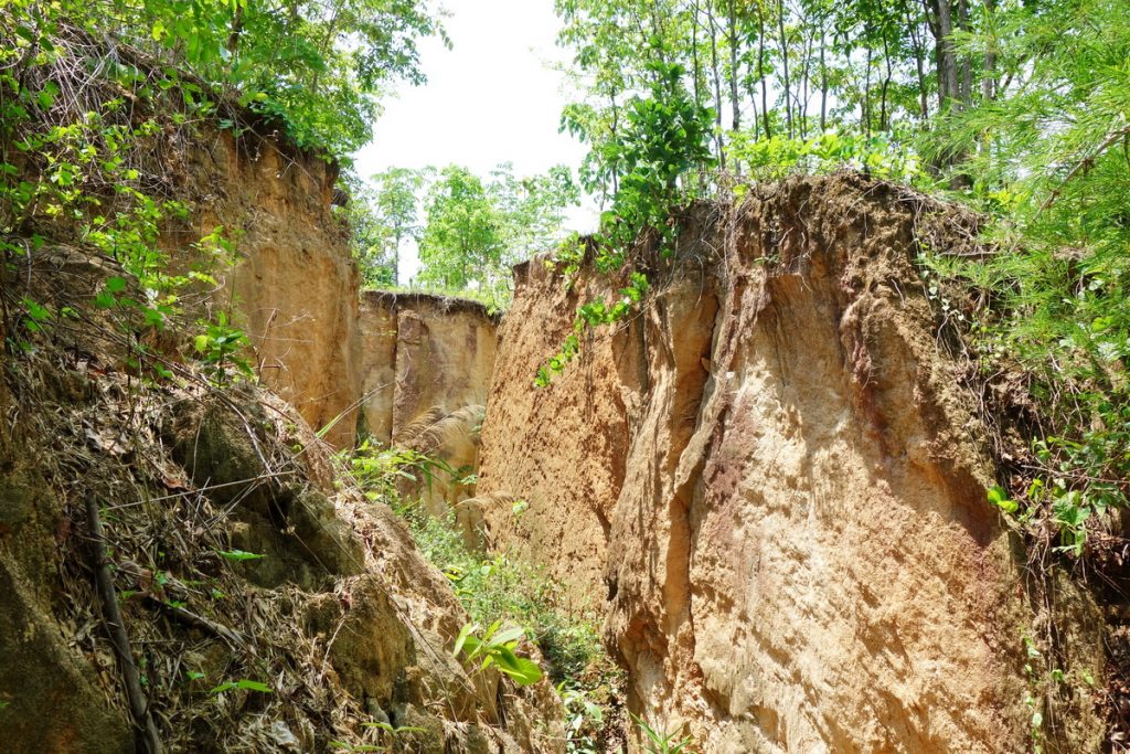 https://mdw-travel-data-us-east-1.s3.amazonaws.com/img/country/Thailand/Pai-Land-Split/img_02.jpg