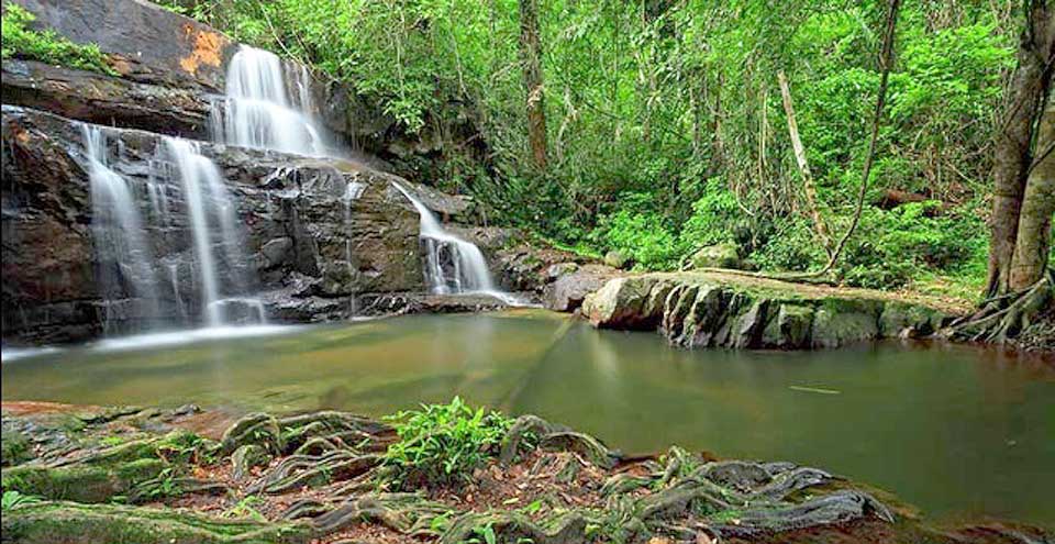 https://mdw-travel-data-us-east-1.s3.amazonaws.com/img/country/Thailand/Pang-Sida-National-Park/img_00.jpg