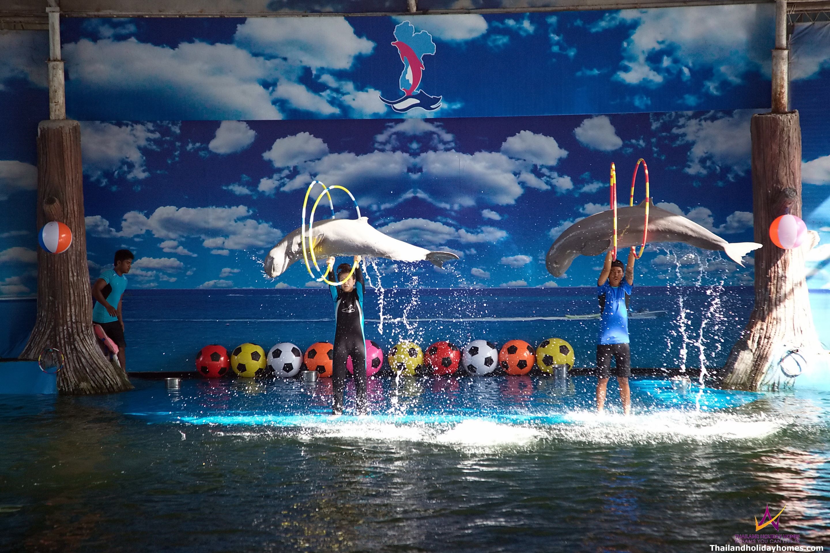 https://mdw-travel-data-us-east-1.s3.amazonaws.com/img/country/Thailand/Pattaya-Dolphin-World/img_02.jpg