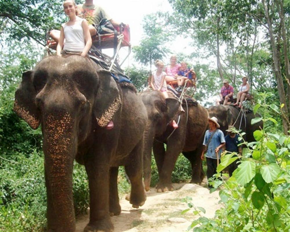 https://mdw-travel-data-us-east-1.s3.amazonaws.com/img/country/Thailand/Pattaya-Elephant-Village/img_03.jpg