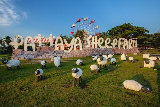 https://mdw-travel-data-us-east-1.s3.amazonaws.com/img/country/Thailand/Pattaya-Sheep-Farm/img_00.jpg