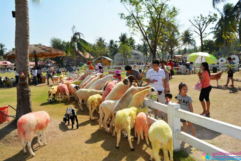 https://mdw-travel-data-us-east-1.s3.amazonaws.com/img/country/Thailand/Pattaya-Sheep-Farm/img_02.jpg