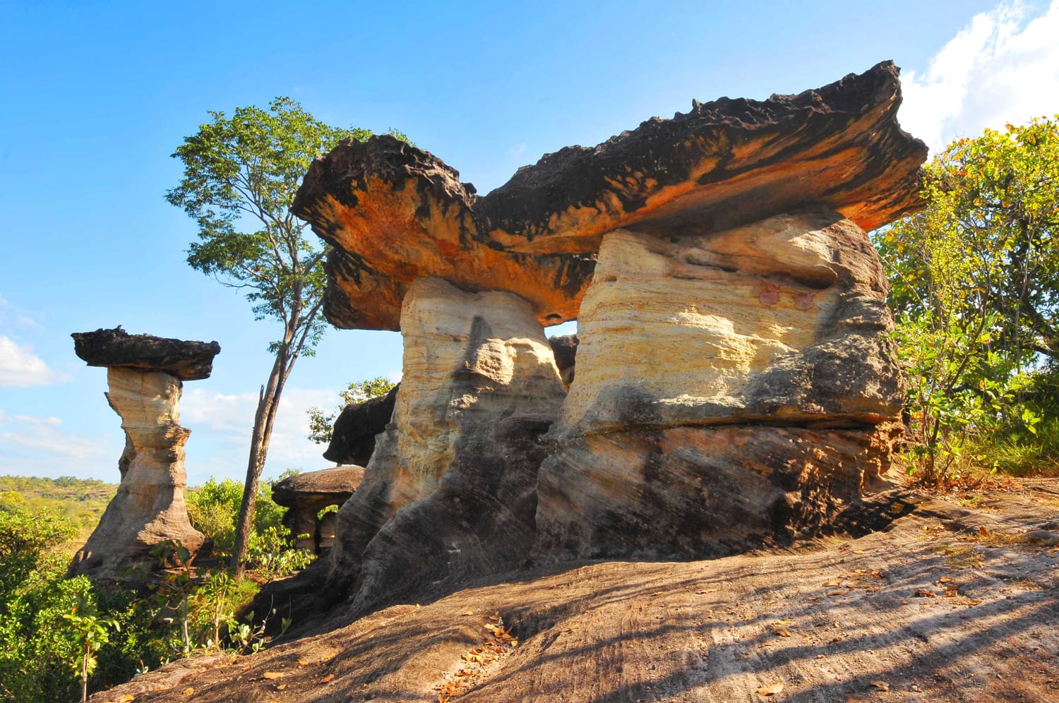 https://mdw-travel-data-us-east-1.s3.amazonaws.com/img/country/Thailand/Pha-Taem-National-Park/img_01.jpg