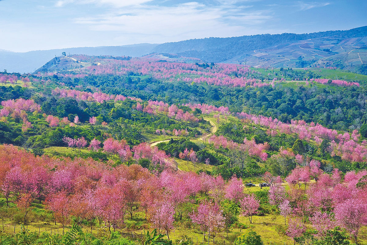 https://mdw-travel-data-us-east-1.s3.amazonaws.com/img/country/Thailand/Phu-Foi-Lom-Eco-Park/img_00.jpg